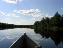 Lappi