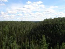Maailmajasuomi2001