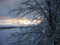 Suomi2004