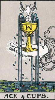 36